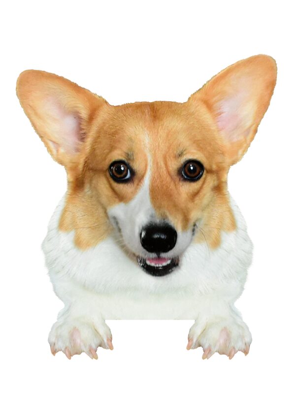 オンライン予約